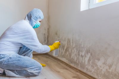 Garage Mold Remediation in Frisco, TX