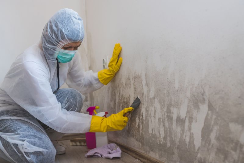 Garage Mold Remediation in West Palm Beach, FL