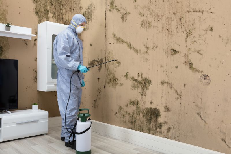 Mold Abatement in Delray Beach, FL