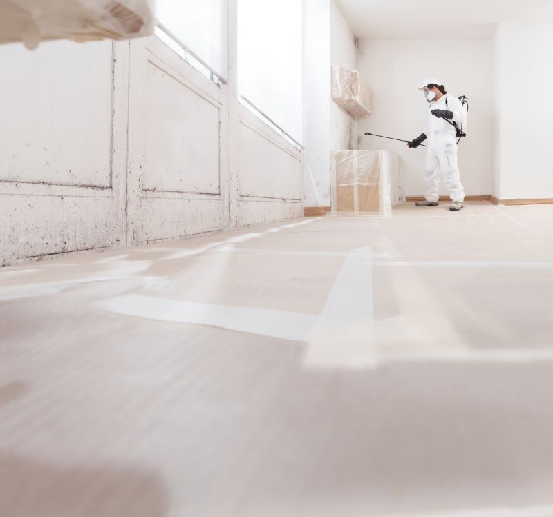 Mold Abatement Service in Frisco, TX