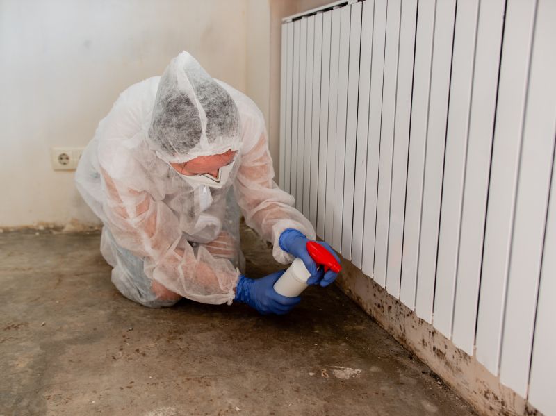 Mold Cleanup Service in Broward County, FL