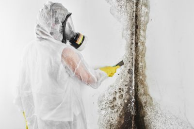Mold Inspection And Removal in Frisco, TX