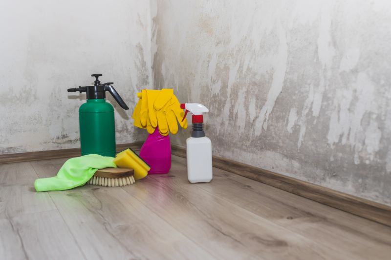 Mold Remediation Service in Broward County, FL