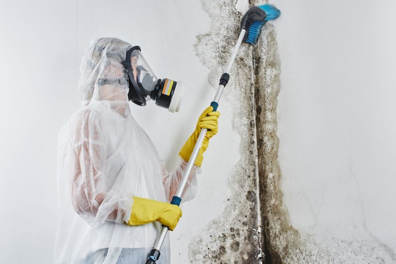 Mold Remediation Service in Fort Worth, TX