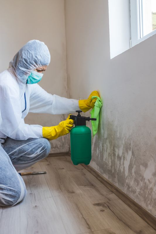 Mold Remediation Service in Bergen County, NJ