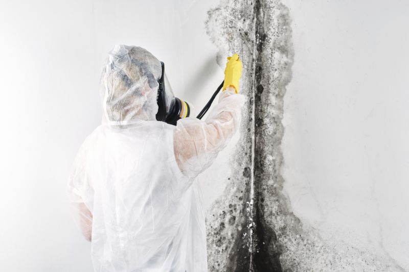 White Mold Mitigation in Dallas, TX