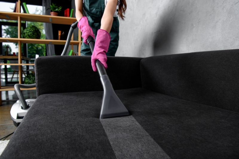 Why Professional Upholstery And Furniture Cleaning Matters